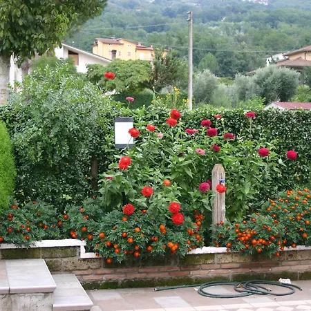 Pisolo Ceppaloni
